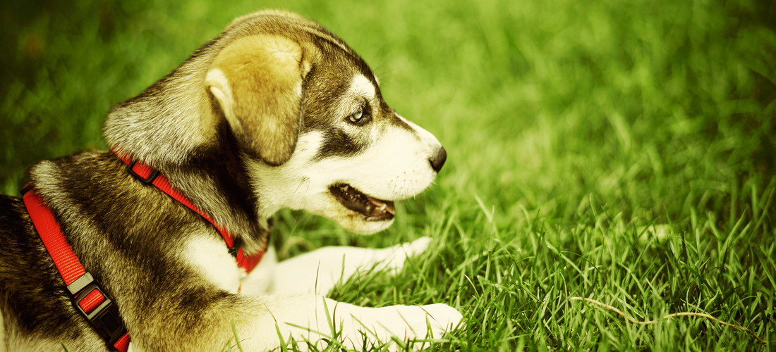 DDOS压力测试网页端